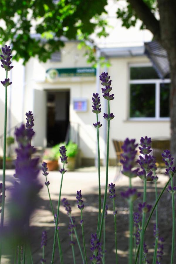 Luebsche Thorweide Hotel Wißmar Kültér fotó